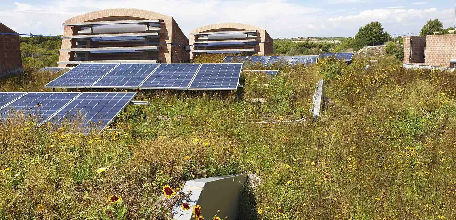 School-Imagine-Montessori-Montessori-Certification-Green-Beeam-2