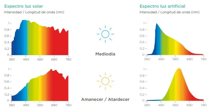 School-Imagine-Montessori-certification-green-breeam-8