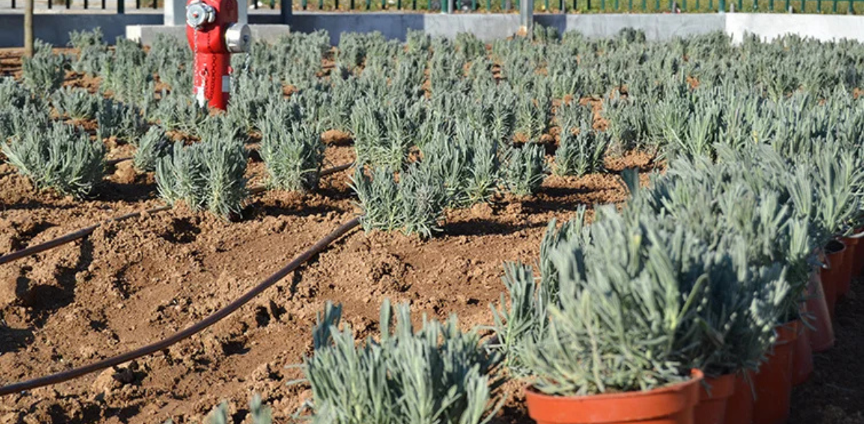 Sustainable-logistical-park-martorelles-4