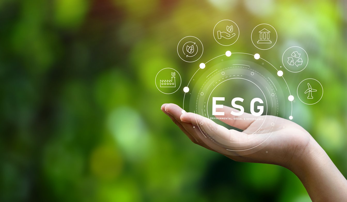 Zero Consulting Plan estrategico ESG
