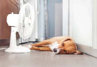 5 Tips to achieve and maintain a comfortable temperature in your home