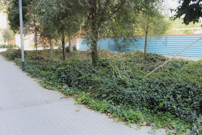 zero-consulting-culmia-vila-bonaplata-breeam-4