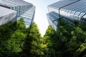 Huella de carbono para empresas: claves del nuevo Real Decreto 214/2025